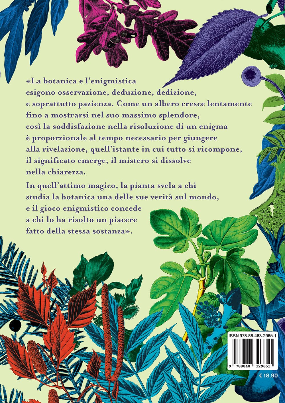 Copertina del libro: "Rompicapi tra le fronde. Storie, giochi e passatempi sugli alberi", disponibile