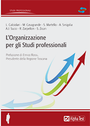 L’Organizzazione per gli Studi professionali